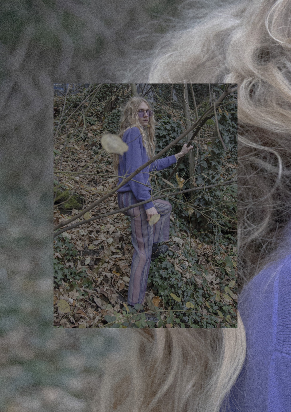 Belladonna 4